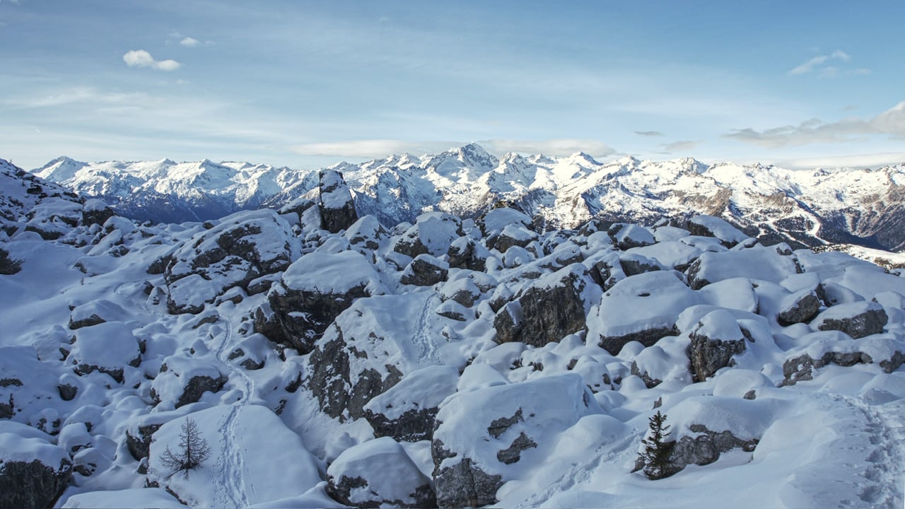 User banner