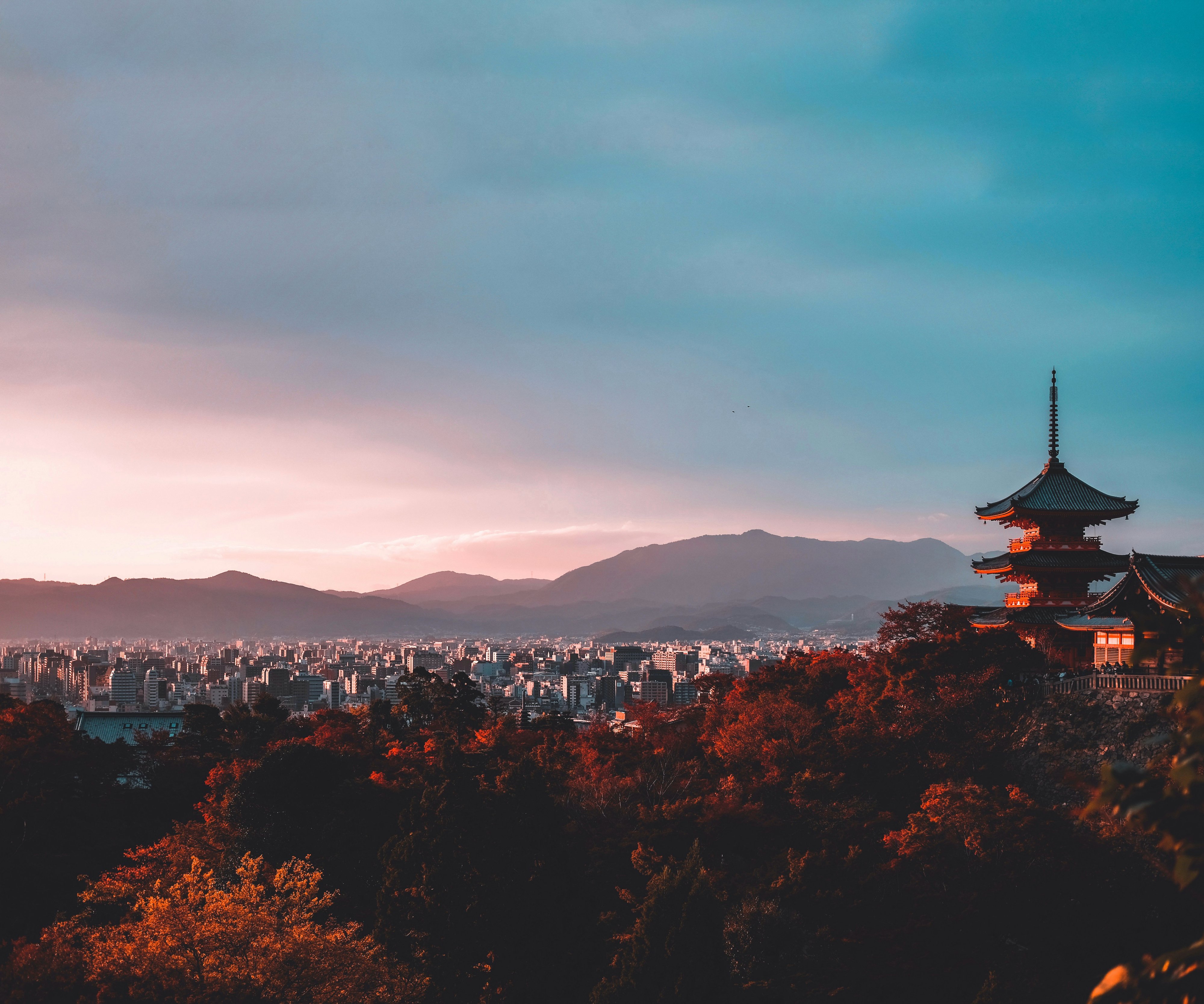 User banner