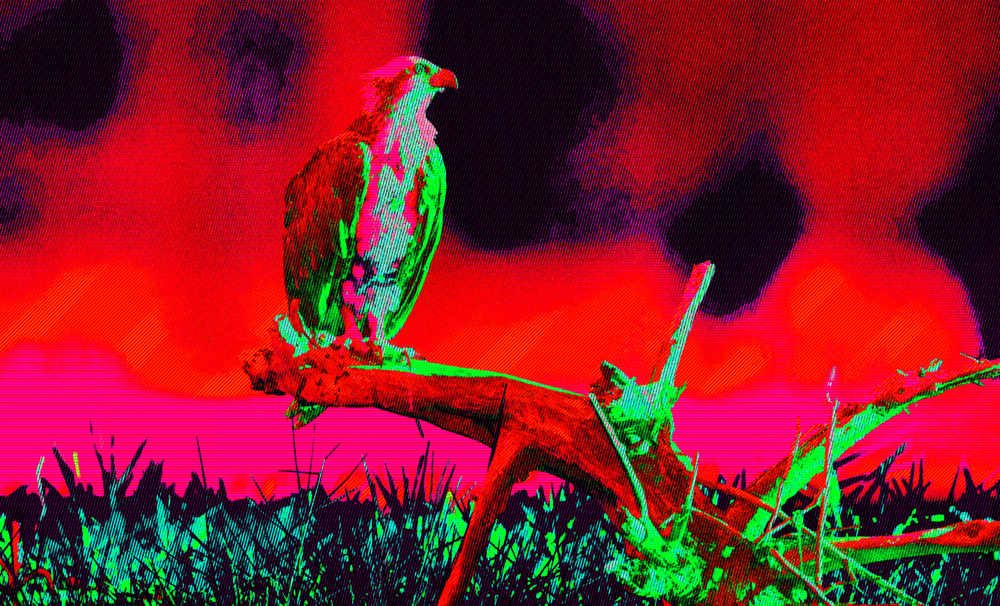 User banner