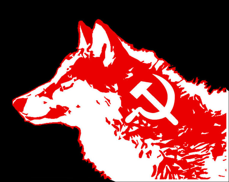 User banner