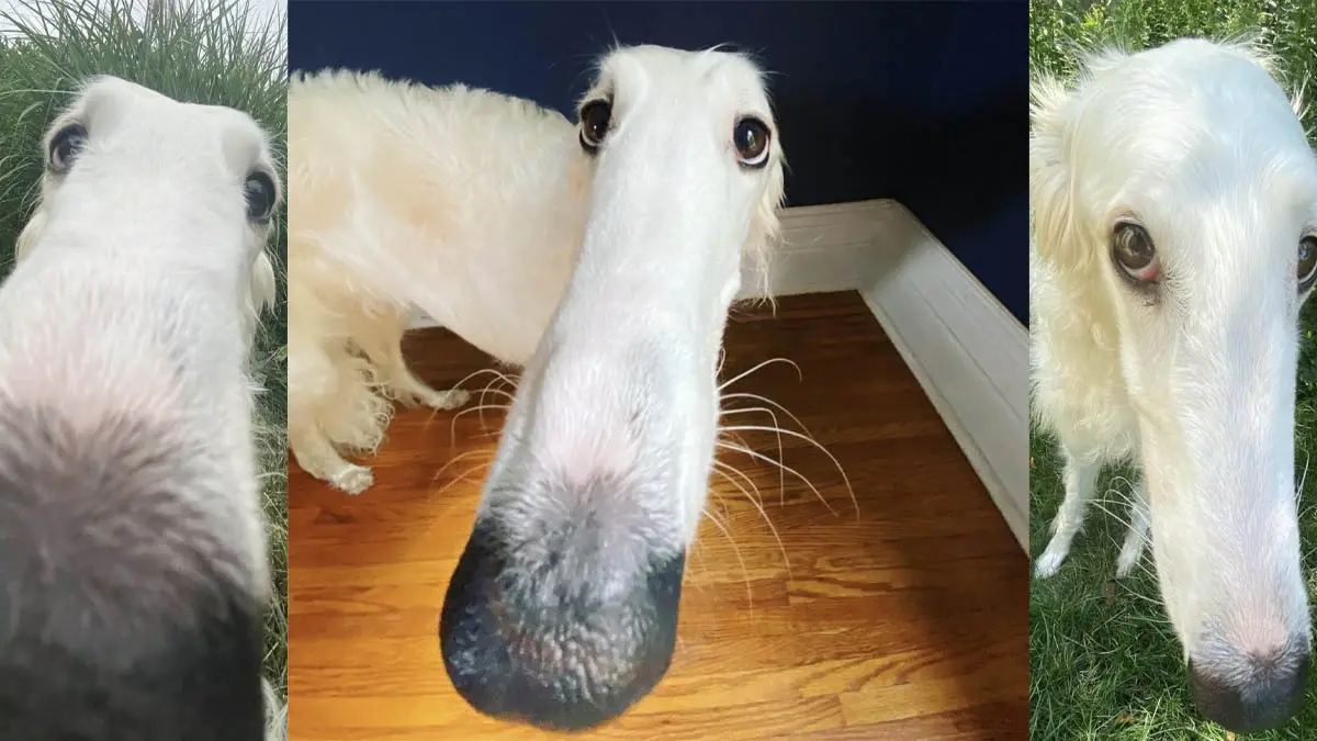 User banner