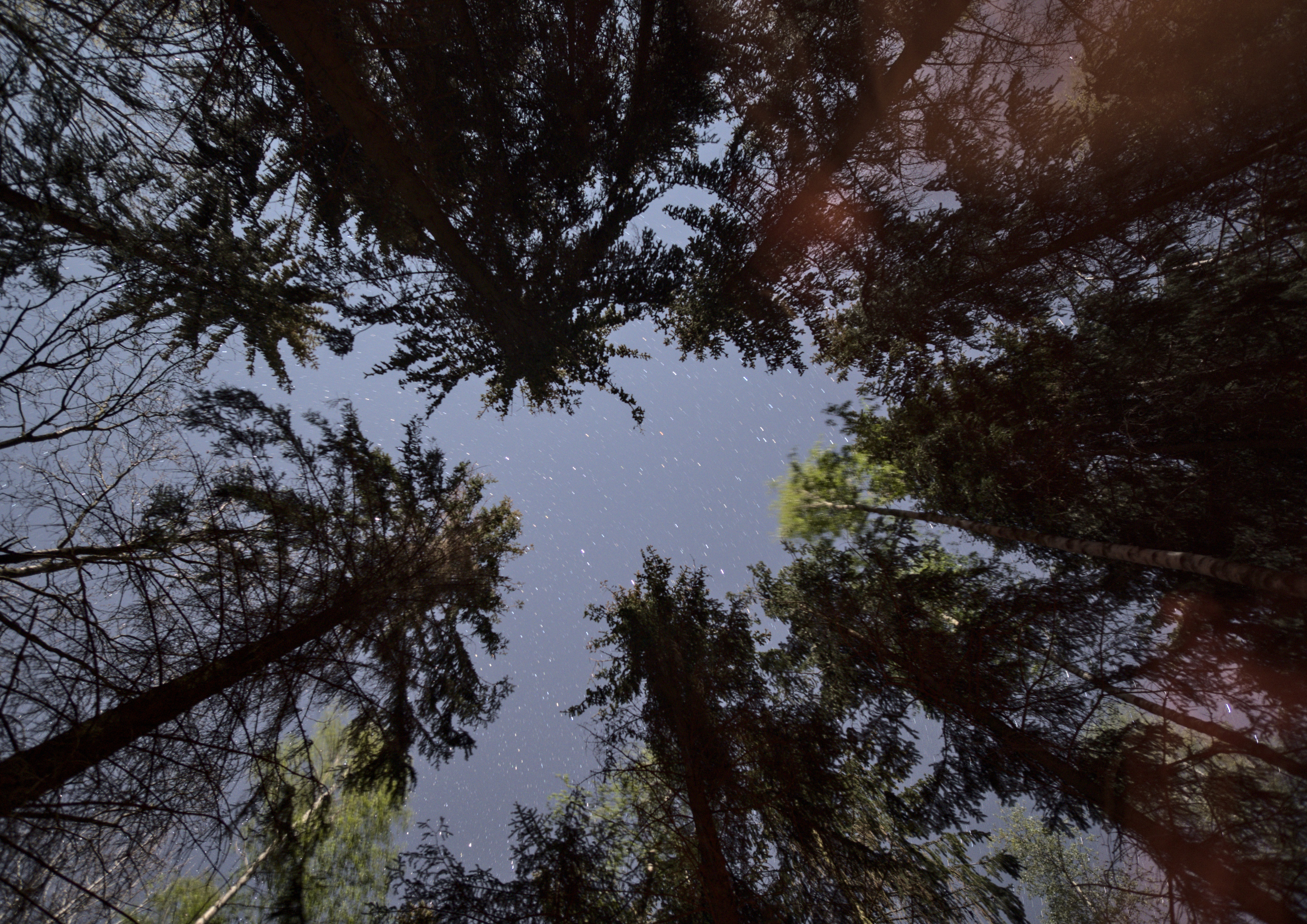 User banner