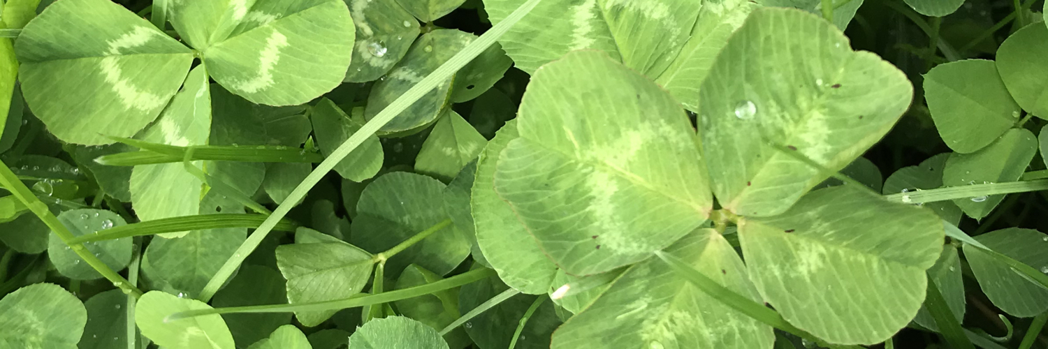 User banner