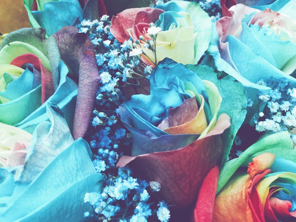 User banner