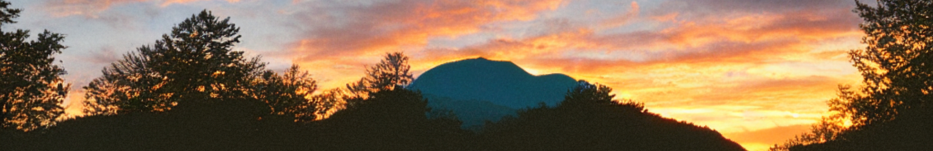 User banner