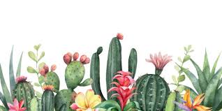 User banner