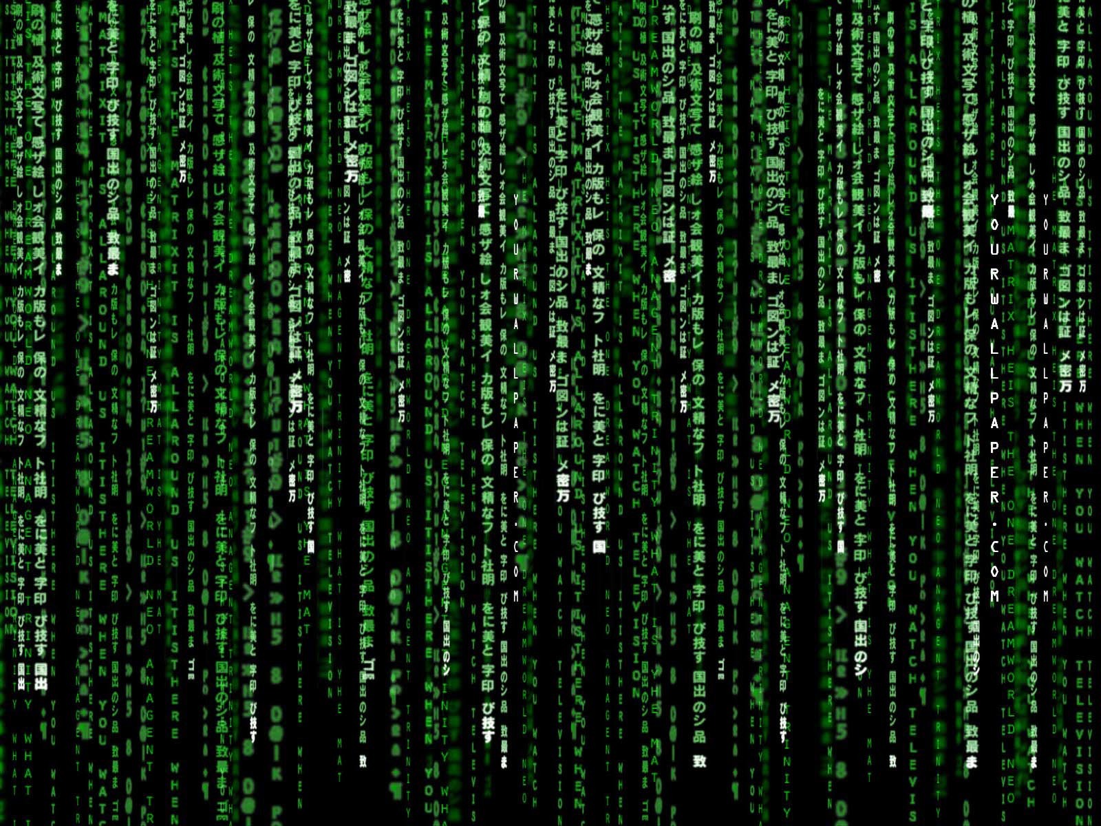 User banner
