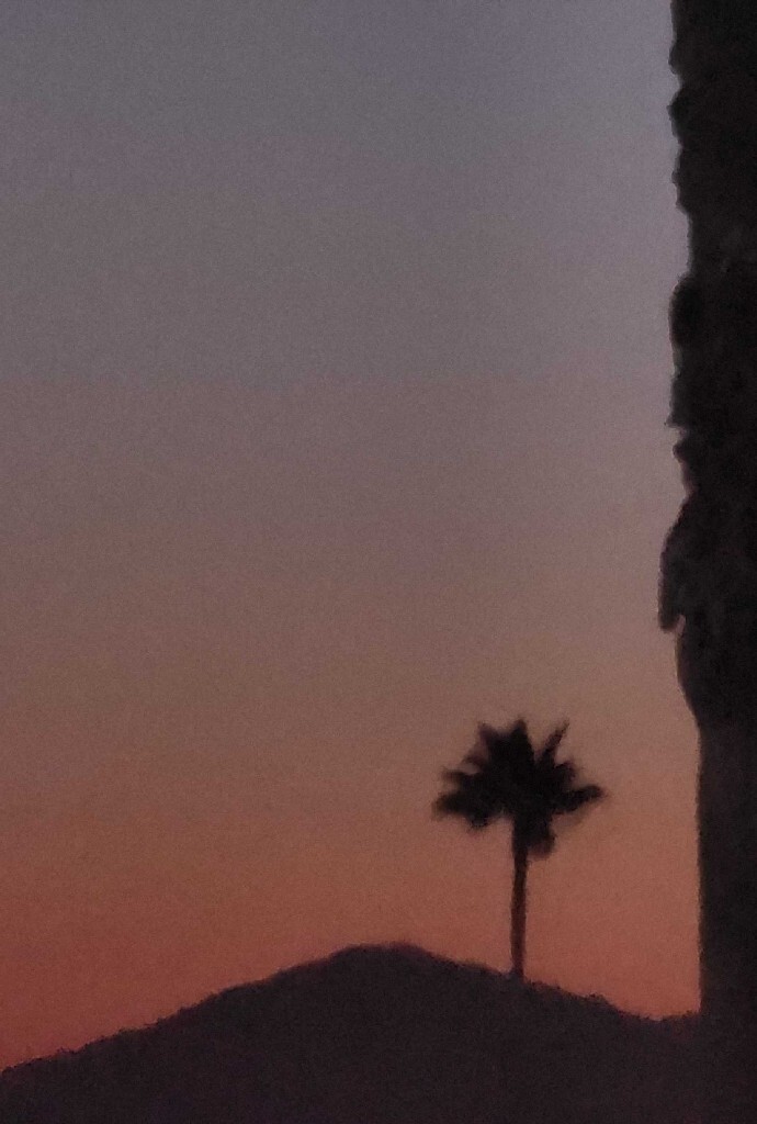 User banner