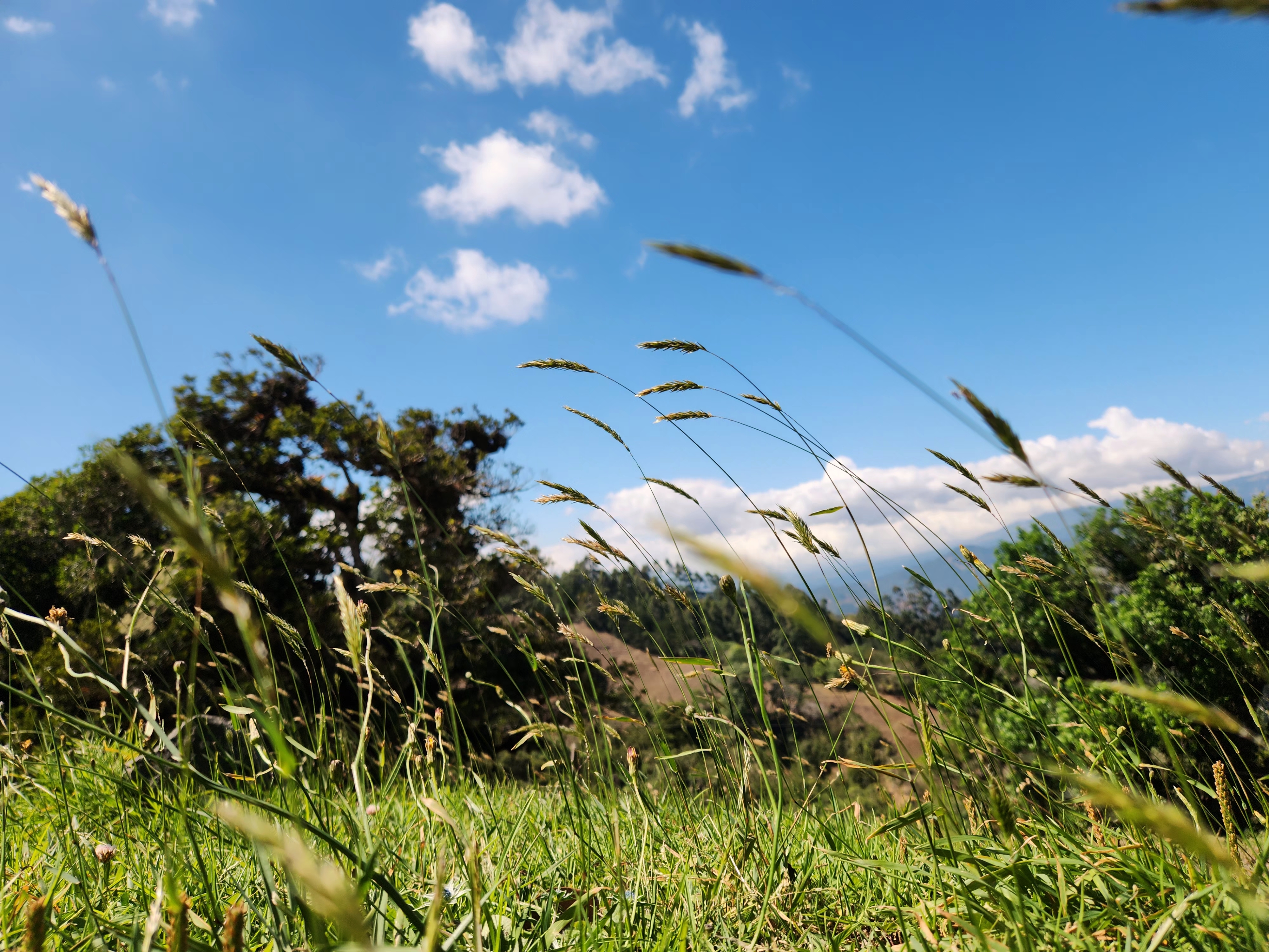 User banner