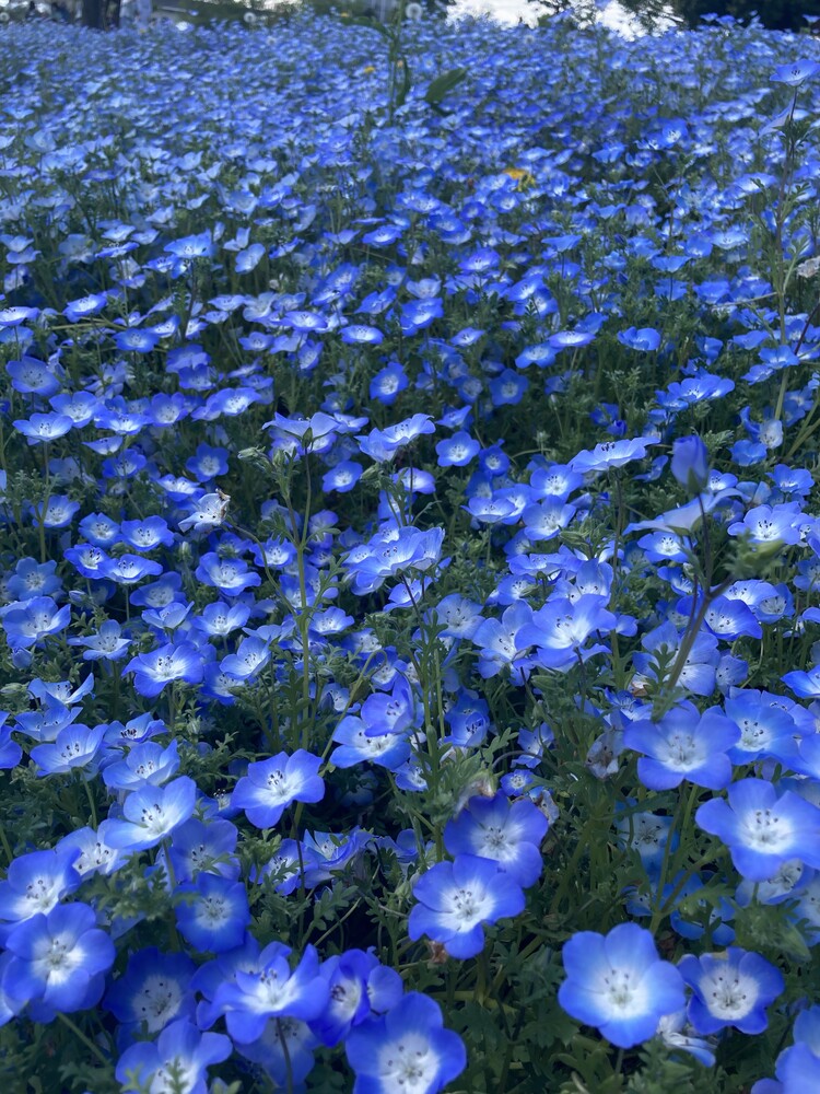 User banner