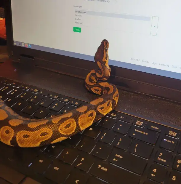 User banner