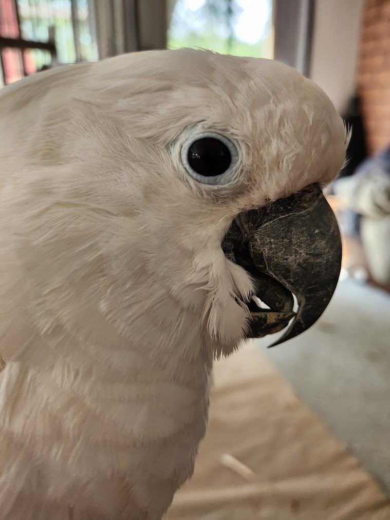 User banner
