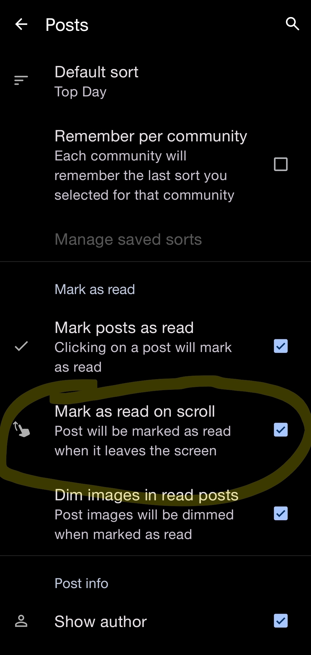 Boost setting to Mark posts as read when scrolled past