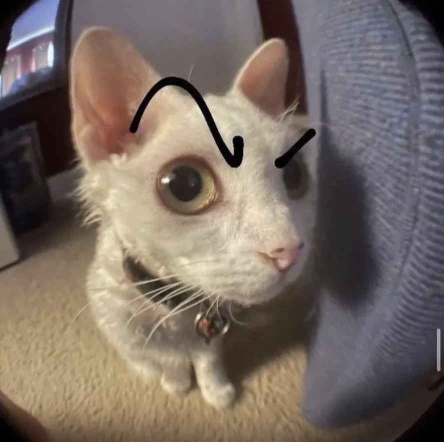 User banner