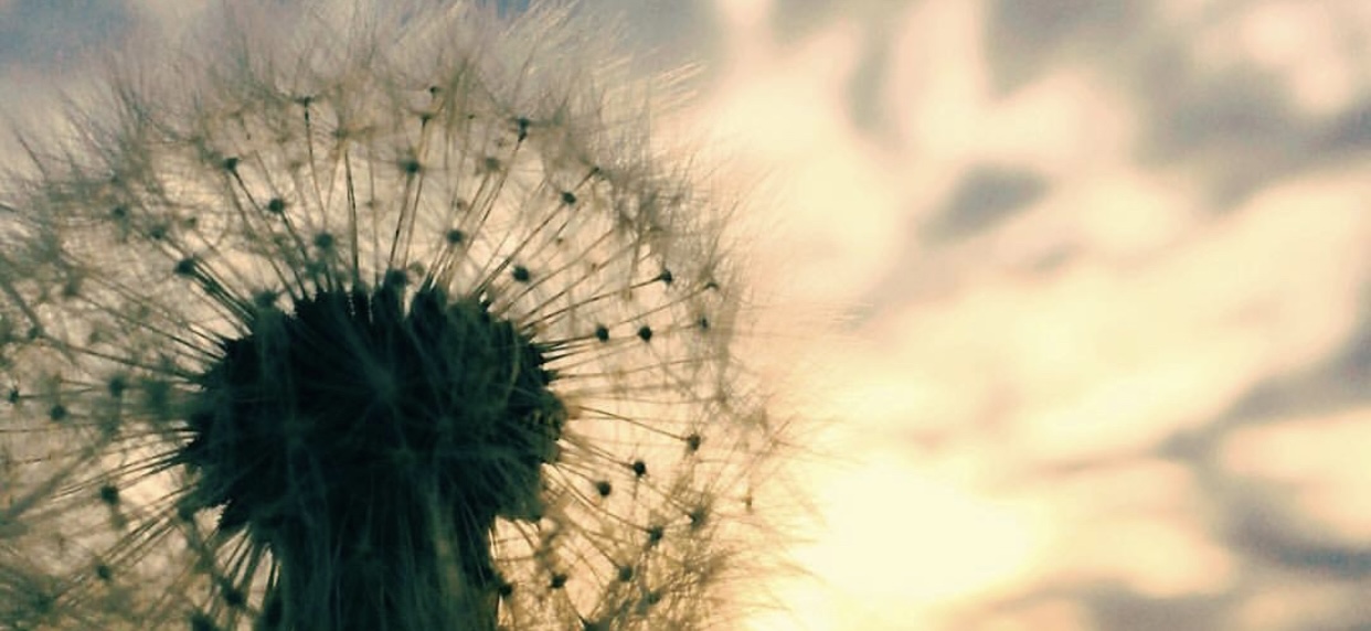 User banner