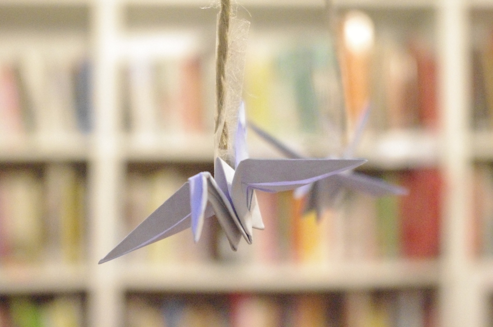 User banner