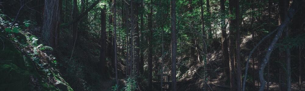 User banner