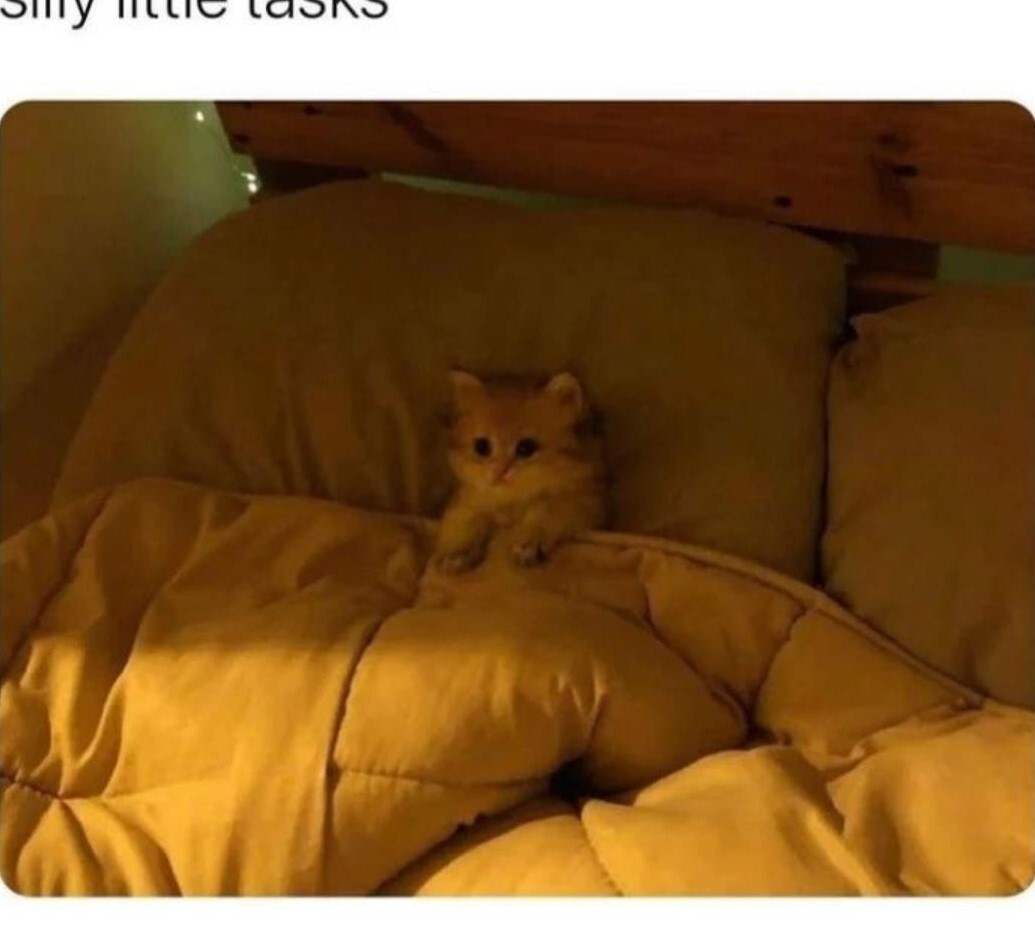 User banner