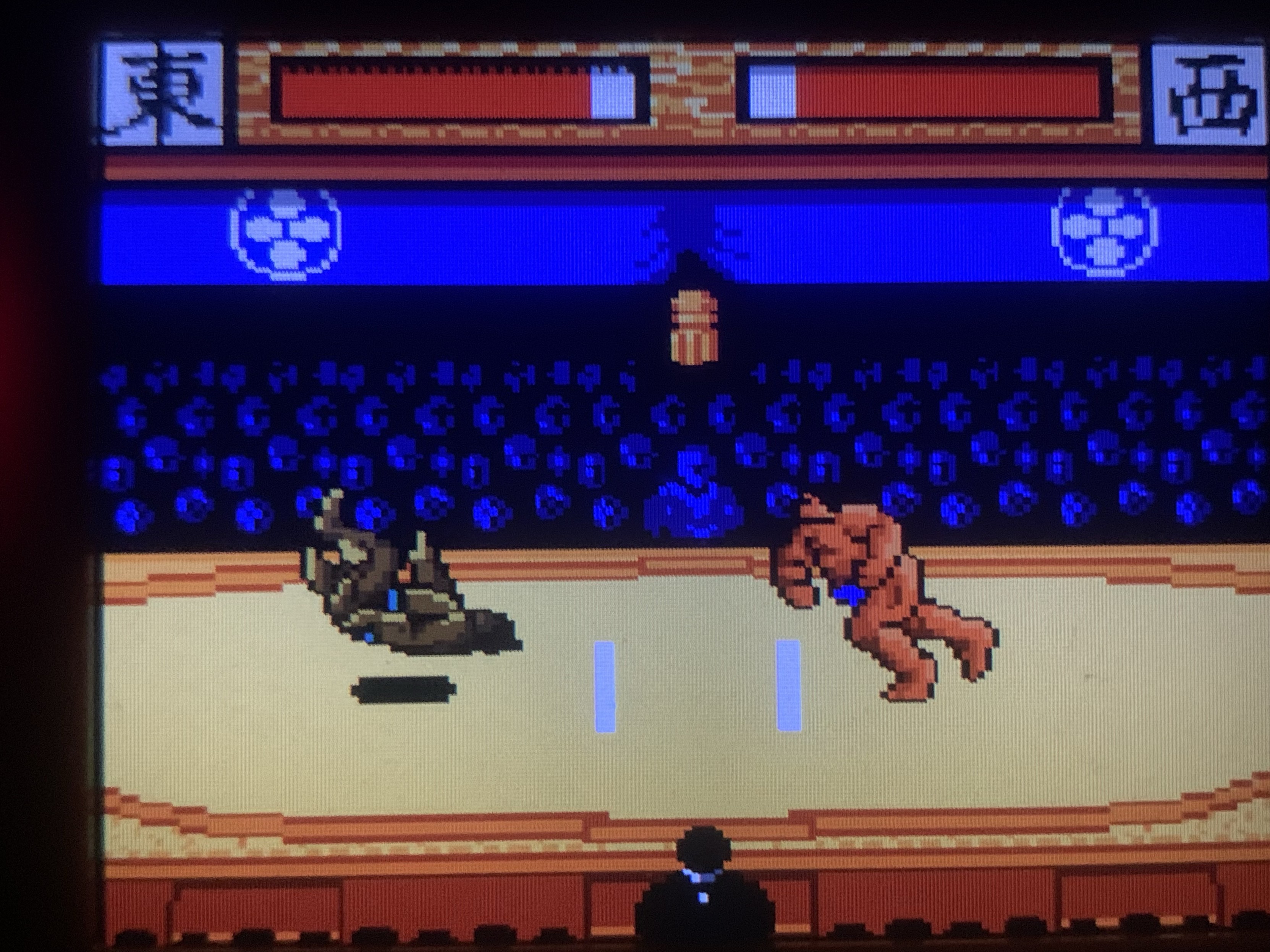 An 8-bit video game scene depicting a wrestling match. One character, resembling a bear, stands while another, in a crouched position, is on the ground. The background features a cheering crowd, and various game status indicators are displayed at the top. 