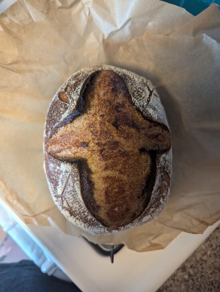 My first loaf! Rye sourdough