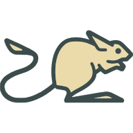 Jerboa app logo