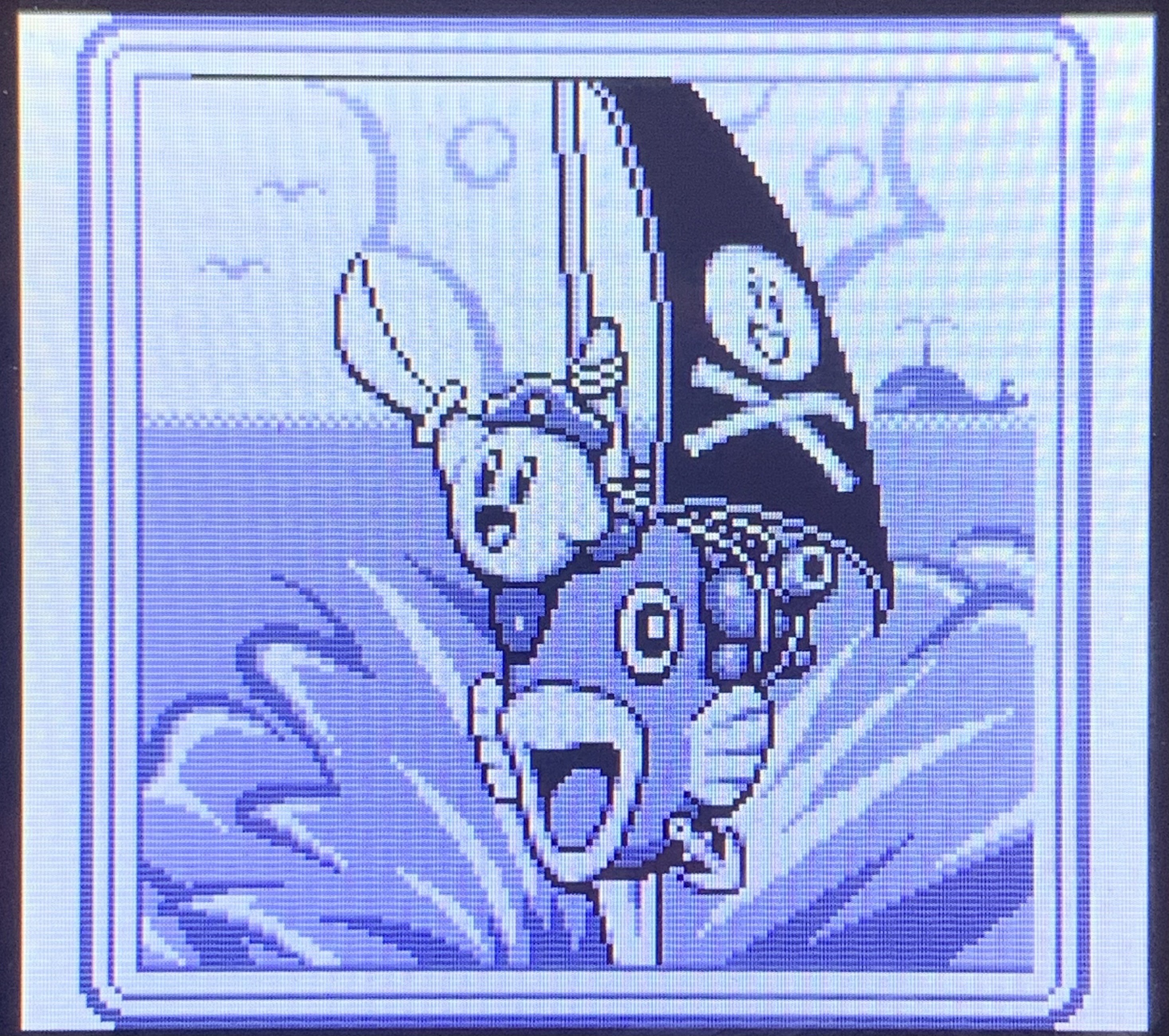 Kirby riding on the fish, dressed like a pirate. 