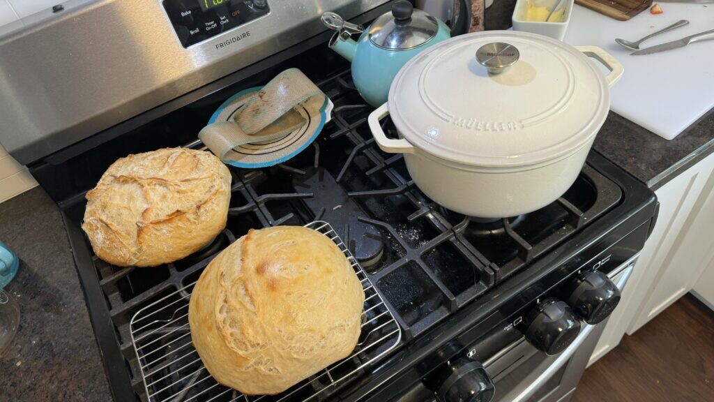 I dehydrated my starter, moved cross country and revived it a month later. Here are my first two loaves!